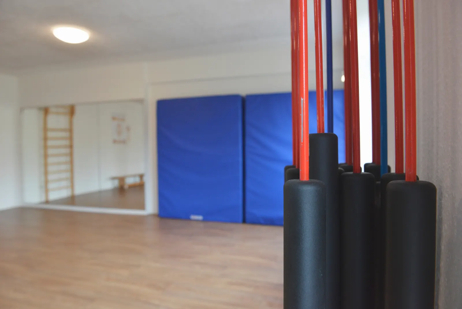 Kursraum mit Matten und Sprossenwand